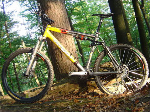 Canyon "ES-7 Enduro"
