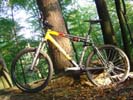 Mountainbike Canyon "ES-7 Enduro"